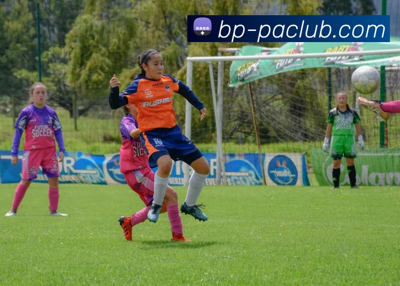 PA体育模拟器发展历程